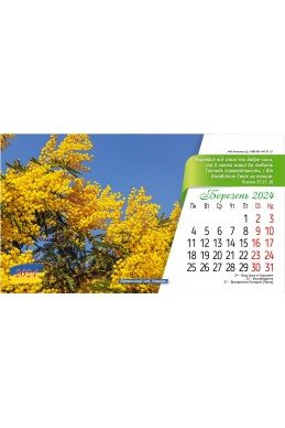 Настільний християнський календар 2024 "Вічні істини"